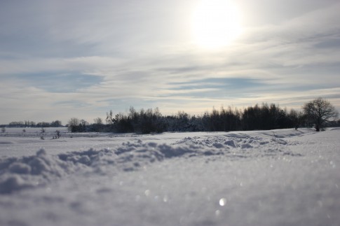 Winteridylle